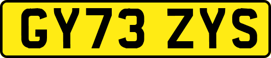 GY73ZYS