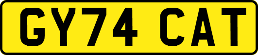 GY74CAT