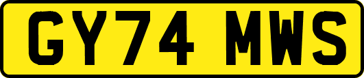 GY74MWS