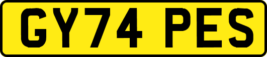 GY74PES