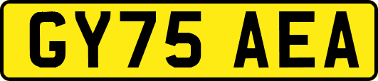 GY75AEA
