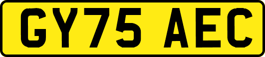 GY75AEC