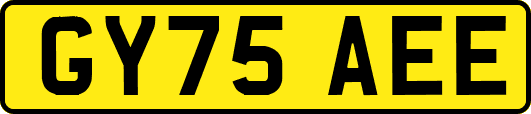 GY75AEE