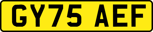 GY75AEF