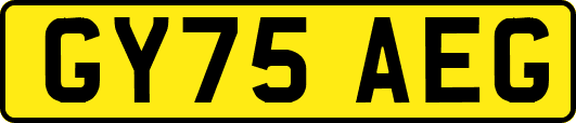 GY75AEG