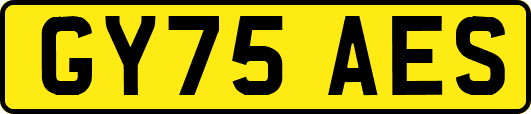 GY75AES