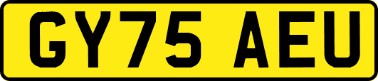 GY75AEU