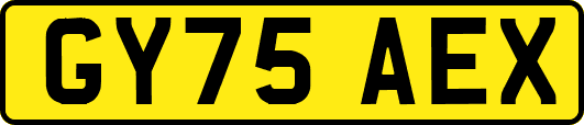 GY75AEX