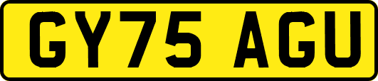 GY75AGU