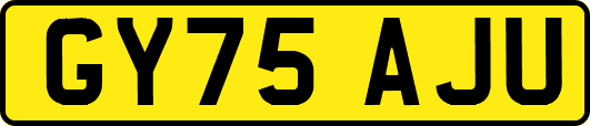 GY75AJU