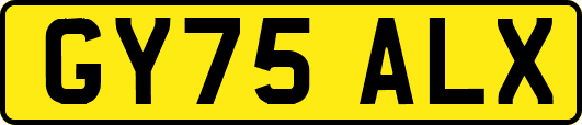GY75ALX