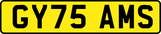 GY75AMS