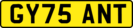 GY75ANT