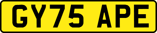 GY75APE