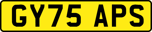 GY75APS