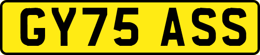 GY75ASS