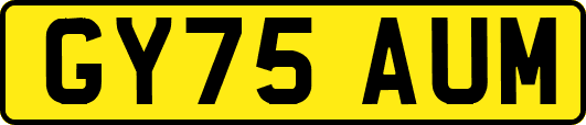 GY75AUM