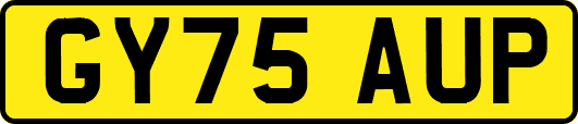 GY75AUP