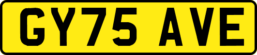 GY75AVE