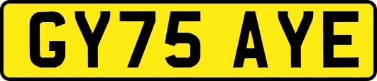 GY75AYE