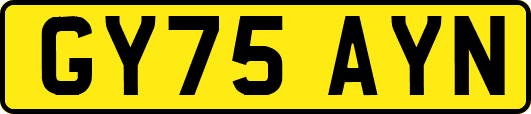 GY75AYN