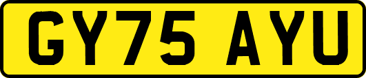GY75AYU