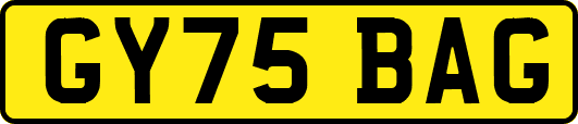 GY75BAG