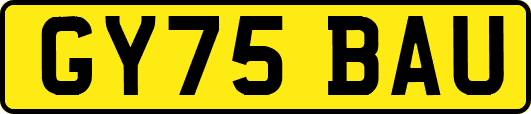GY75BAU