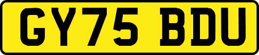 GY75BDU