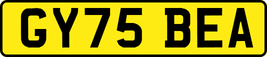 GY75BEA
