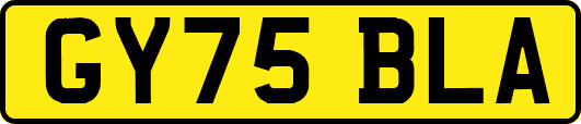 GY75BLA