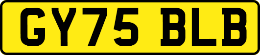 GY75BLB
