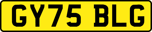 GY75BLG