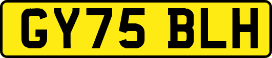 GY75BLH
