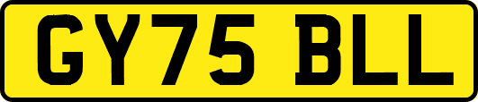 GY75BLL