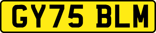 GY75BLM
