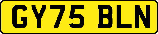 GY75BLN