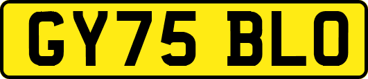 GY75BLO