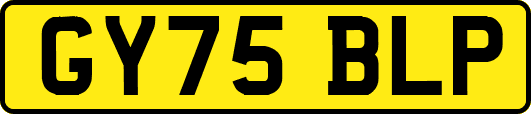 GY75BLP