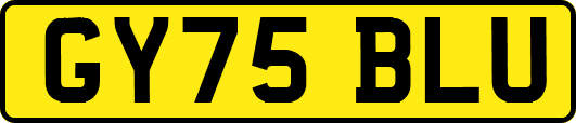 GY75BLU