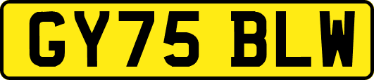 GY75BLW