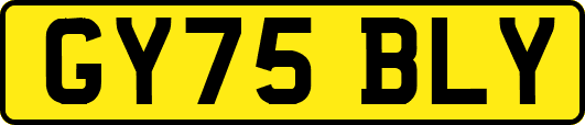 GY75BLY