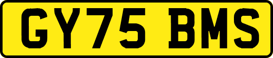 GY75BMS