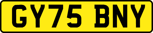 GY75BNY