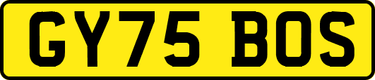 GY75BOS