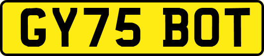 GY75BOT