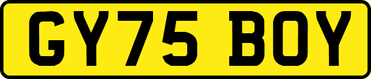 GY75BOY