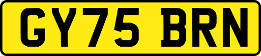 GY75BRN