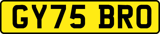 GY75BRO