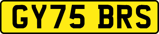 GY75BRS